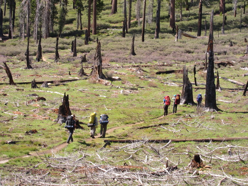 Burnt_Out_Hikers_DeGrazio