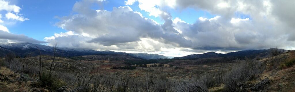 Yosemite-Foresta-Panorama-YExplore-DeGrazio-iPhone-Jan2014