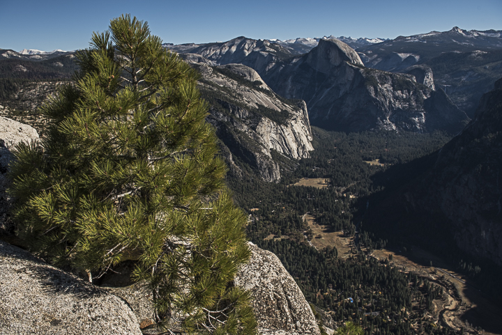 Yosemite-AhwahneeMeadow-YExplore-DeGrazio-OCT2015