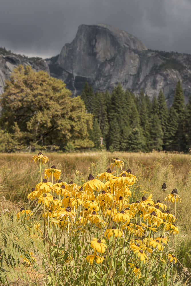 September 2016 Yosemite Instagram