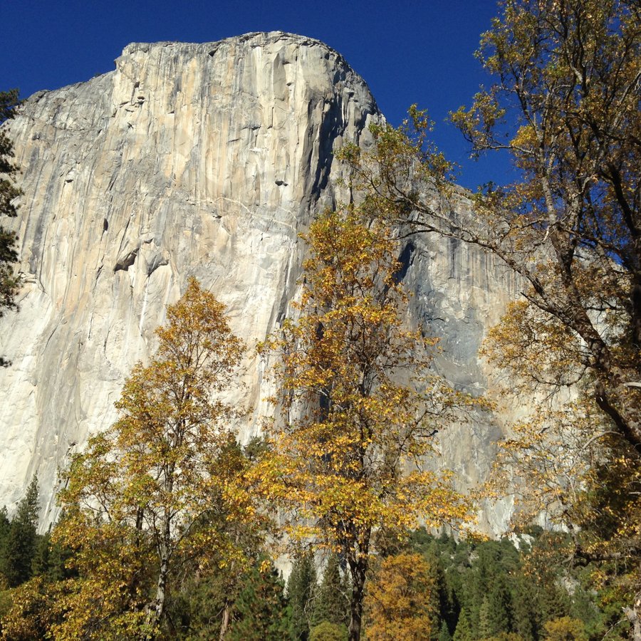 Yosemite-ElCapitan-YExplore-Instagram-DeGrazio-Oct2014