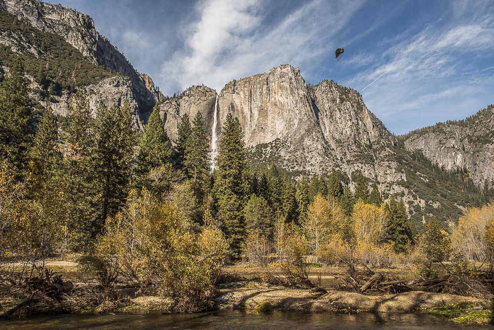 Yosemite Prints Make Great Holiday Gifts