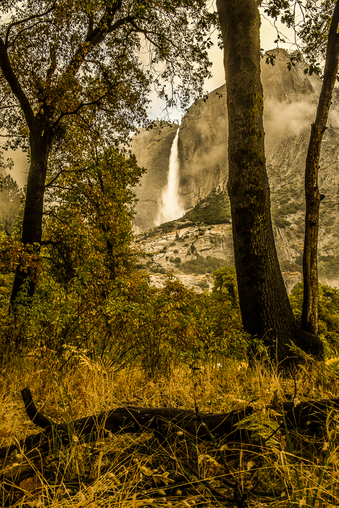 Yosemite Prints Make Great Holiday Gifts