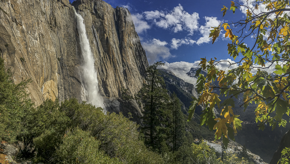 Yosemite Prints Make Great Holiday Gifts