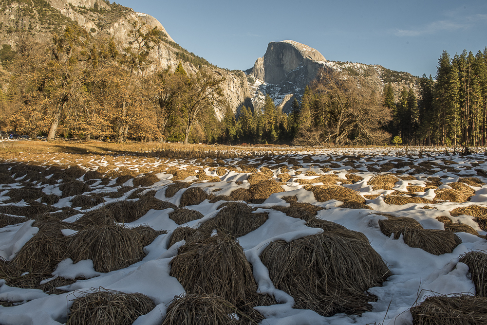 Yosemite Season's Greetings