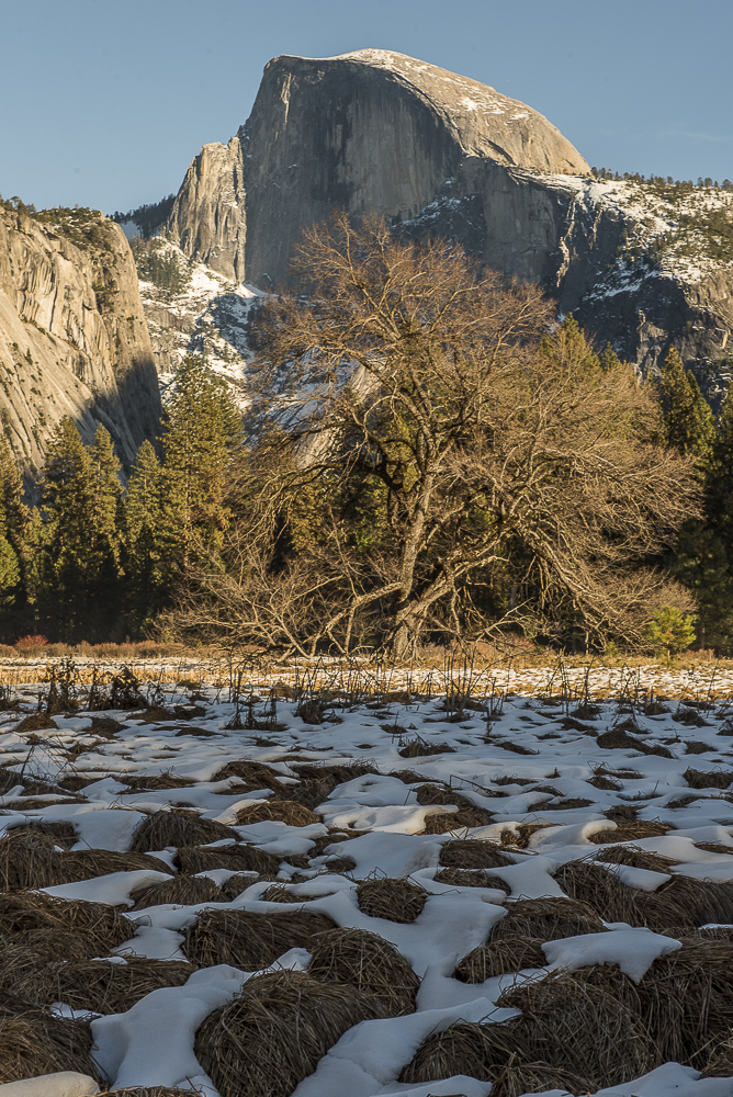 Yosemite Season's Greetings