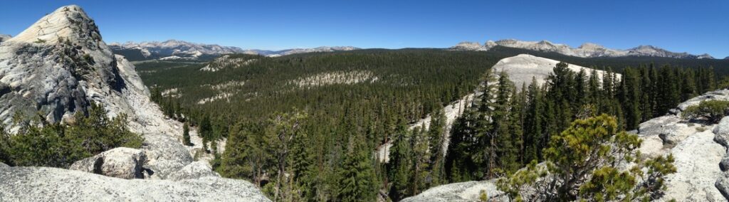 Yosemite-Lembert-Tuolumne-YExplore-DeGrazio-JUN2015
